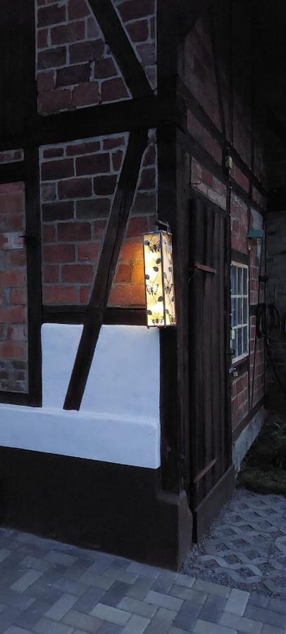 Ferienhaus Blaue Blume Mit 11 Kw Ladestation, Kamin, Terrasse, Eingezaeuntem Garten, Sauna, Wlan, Netflix, 2 Hunde Willkommen! Güntersberge Zewnętrze zdjęcie