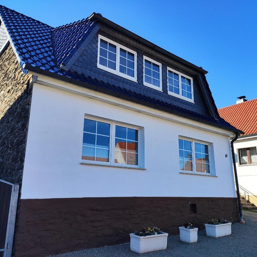 Ferienhaus Blaue Blume Mit 11 Kw Ladestation, Kamin, Terrasse, Eingezaeuntem Garten, Sauna, Wlan, Netflix, 2 Hunde Willkommen! Güntersberge Zewnętrze zdjęcie