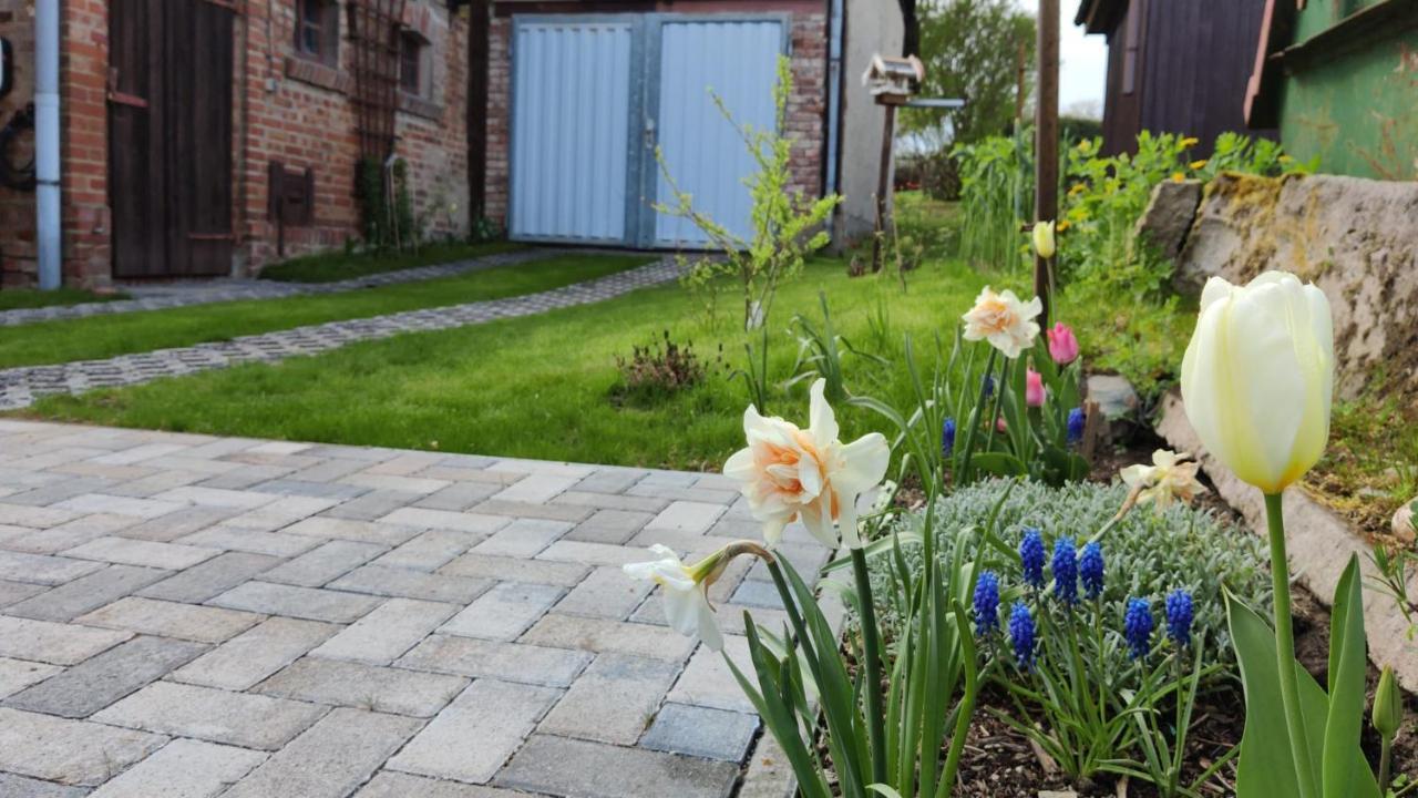 Ferienhaus Blaue Blume Mit 11 Kw Ladestation, Kamin, Terrasse, Eingezaeuntem Garten, Sauna, Wlan, Netflix, 2 Hunde Willkommen! Güntersberge Zewnętrze zdjęcie