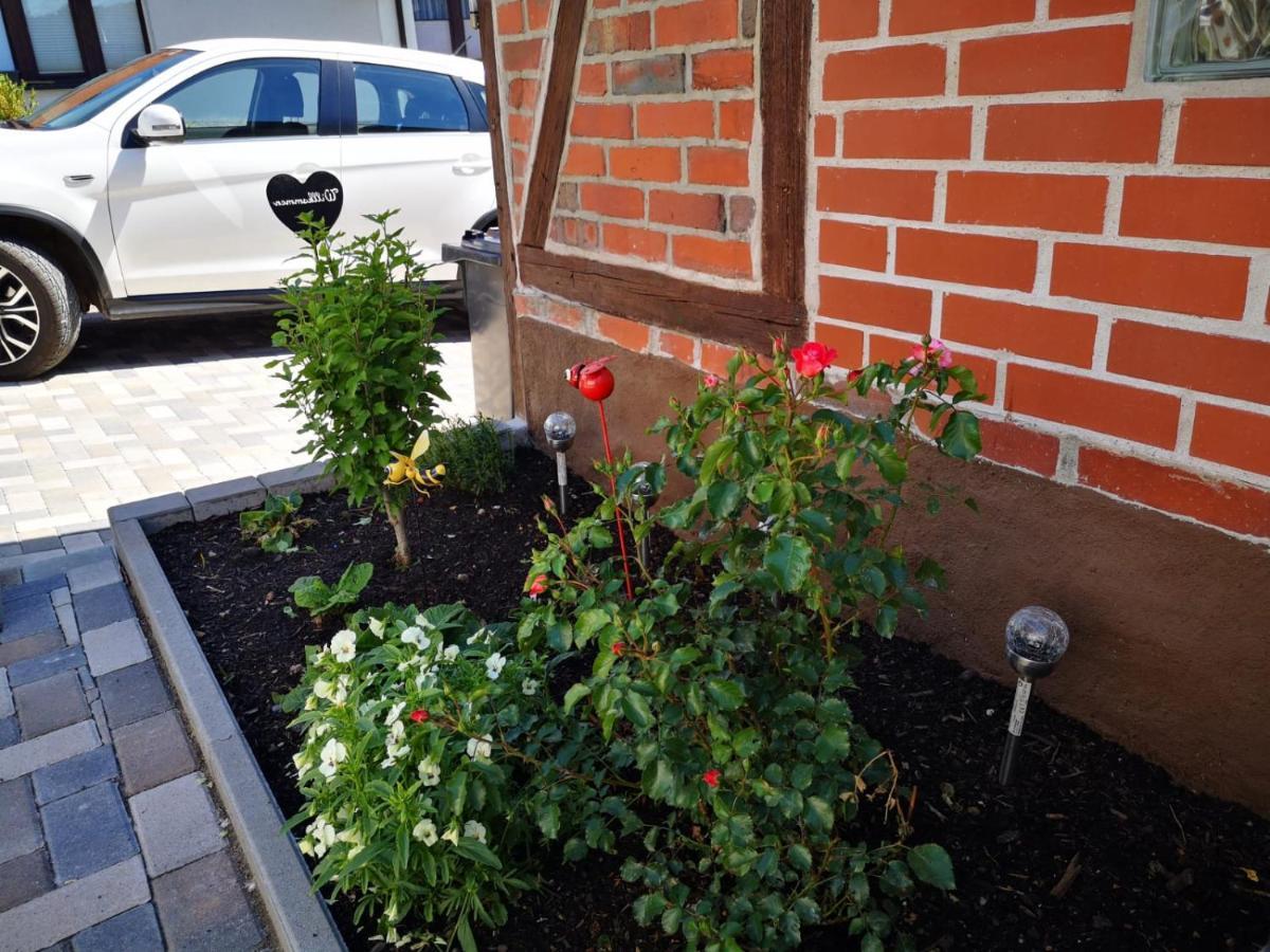 Ferienhaus Blaue Blume Mit 11 Kw Ladestation, Kamin, Terrasse, Eingezaeuntem Garten, Sauna, Wlan, Netflix, 2 Hunde Willkommen! Güntersberge Zewnętrze zdjęcie