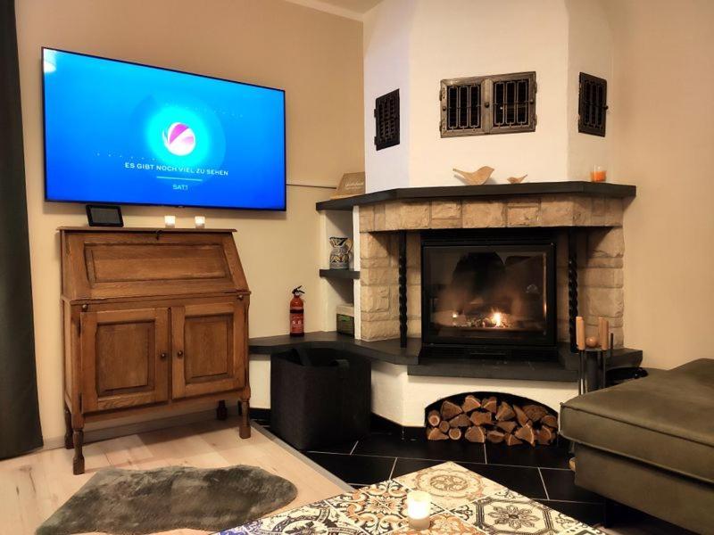 Ferienhaus Blaue Blume Mit 11 Kw Ladestation, Kamin, Terrasse, Eingezaeuntem Garten, Sauna, Wlan, Netflix, 2 Hunde Willkommen! Güntersberge Zewnętrze zdjęcie