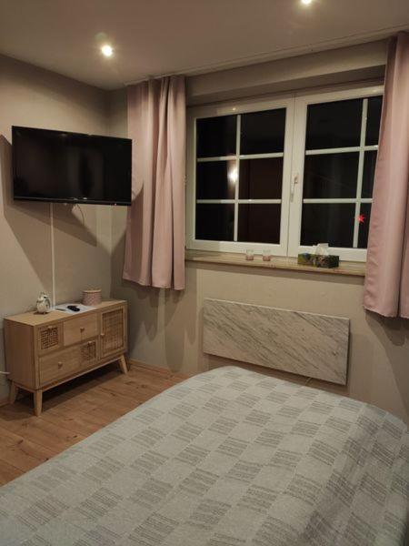 Ferienhaus Blaue Blume Mit 11 Kw Ladestation, Kamin, Terrasse, Eingezaeuntem Garten, Sauna, Wlan, Netflix, 2 Hunde Willkommen! Güntersberge Zewnętrze zdjęcie